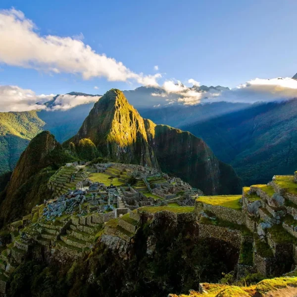 Mapi