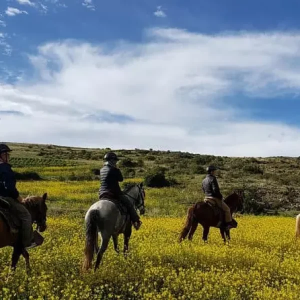 caballos cusco