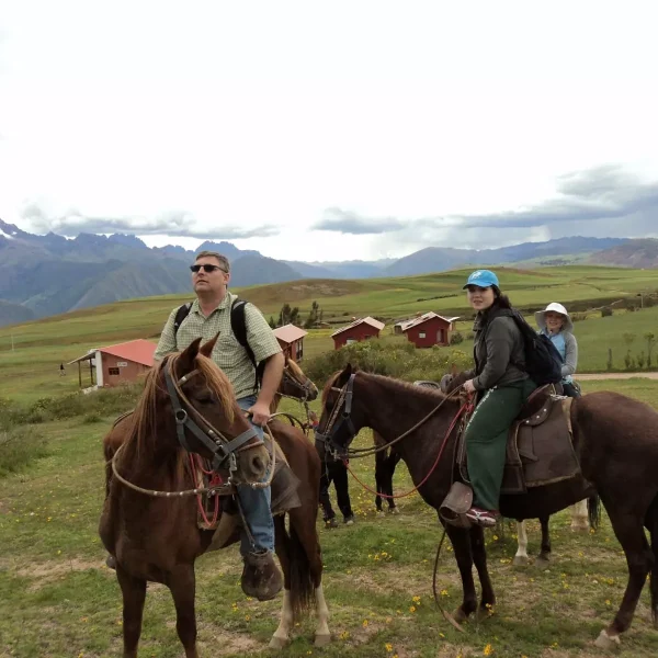 horse cusco